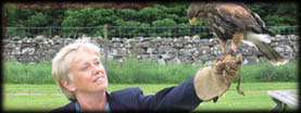 Huntly Falconry Centre Corporate Days and Events