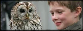 Huntly Falconry Centre