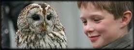 Huntly Falconry Centre