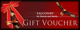 Huntly falconry Gift Vouchers