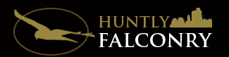 huntly falconry